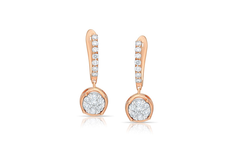 Embedded dropped diamond earring